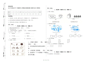 2019年實驗小學一年級數學上學期綜合檢測試題 西南師大版（附答案）.doc