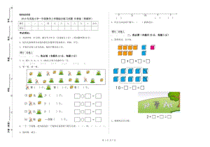 2019年實(shí)驗(yàn)小學(xué)一年級(jí)數(shù)學(xué)上學(xué)期綜合練習(xí)試題 長春版（附解析）.doc