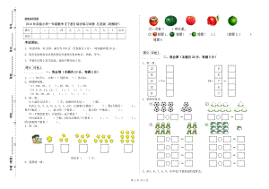 2019年實(shí)驗(yàn)小學(xué)一年級(jí)數(shù)學(xué)【下冊(cè)】綜合練習(xí)試卷 江西版（附解析）.doc