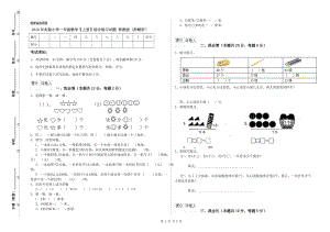 2019年實驗小學(xué)一年級數(shù)學(xué)【上冊】綜合練習(xí)試題 浙教版（附解析）.doc