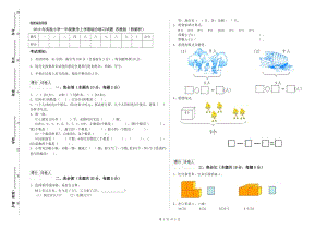 2019年實(shí)驗(yàn)小學(xué)一年級(jí)數(shù)學(xué)上學(xué)期綜合練習(xí)試題 蘇教版（附解析）.doc