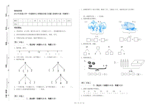 2019年實(shí)驗(yàn)小學(xué)一年級(jí)數(shù)學(xué)上學(xué)期綜合練習(xí)試題 西南師大版（附解析）.doc