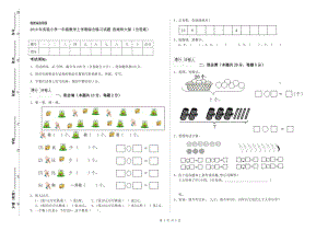 2019年實(shí)驗(yàn)小學(xué)一年級(jí)數(shù)學(xué)上學(xué)期綜合練習(xí)試題 西南師大版（含答案）.doc