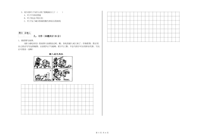 2020年实验小学二年级语文下学期全真模拟考试试题 人教版（含答案）.doc_第3页