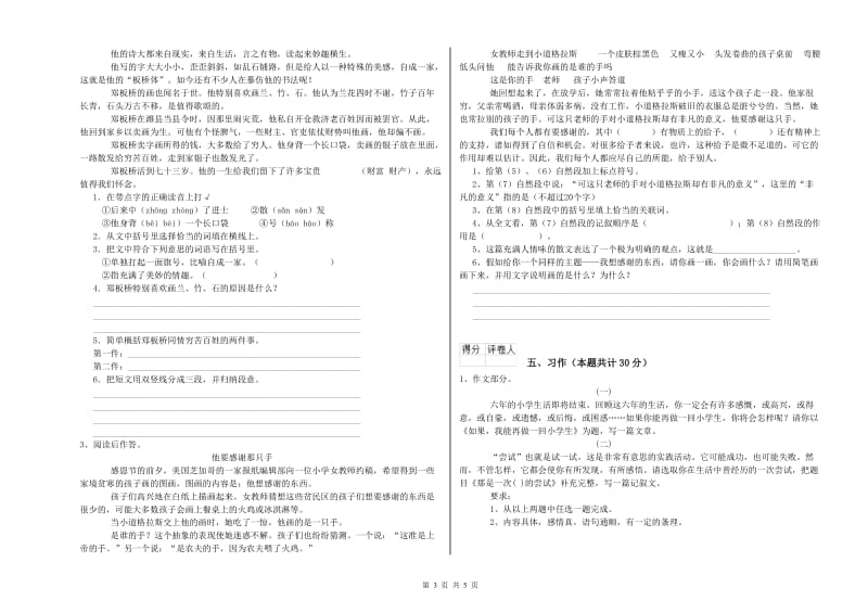 2020年六年级语文下学期能力检测试卷D卷 附解析.doc_第3页