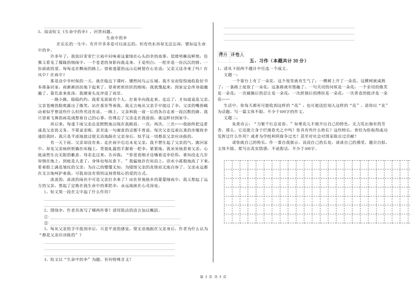 2020年六年级语文【下册】能力检测试题D卷 附解析.doc_第3页