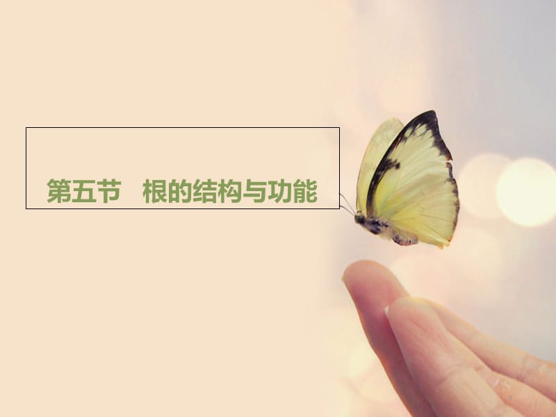 根的结构和功能ppt课件.ppt_第1页