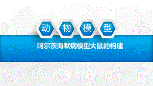 阿爾茨海默癥動(dòng)物模型.ppt