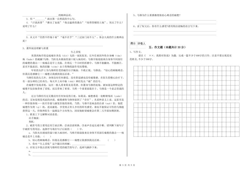 亳州市重点小学小升初语文考前练习试题 附解析.doc_第3页