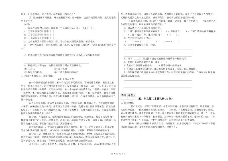 上饶市重点小学小升初语文综合练习试卷 附答案.doc_第3页