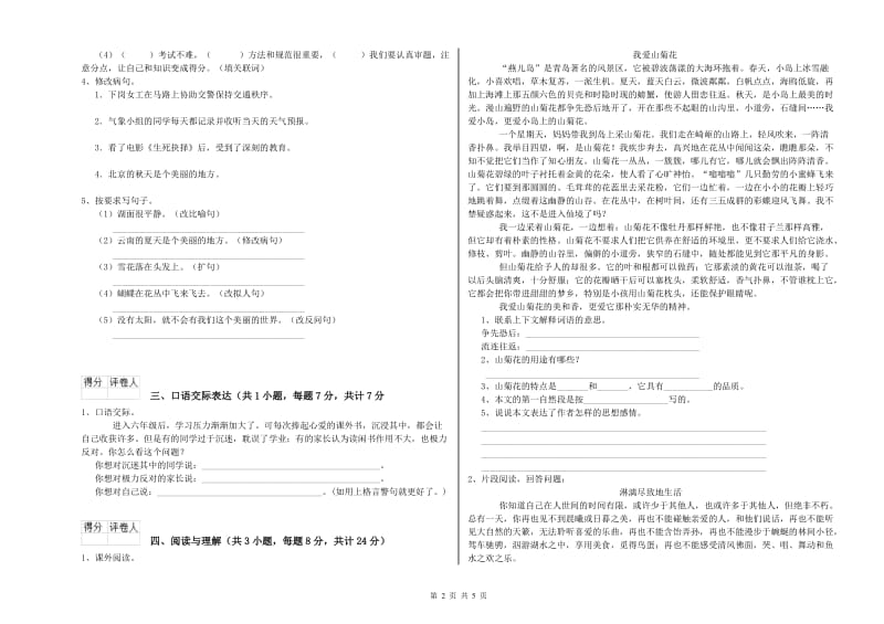 中山市重点小学小升初语文综合练习试题 含答案.doc_第2页