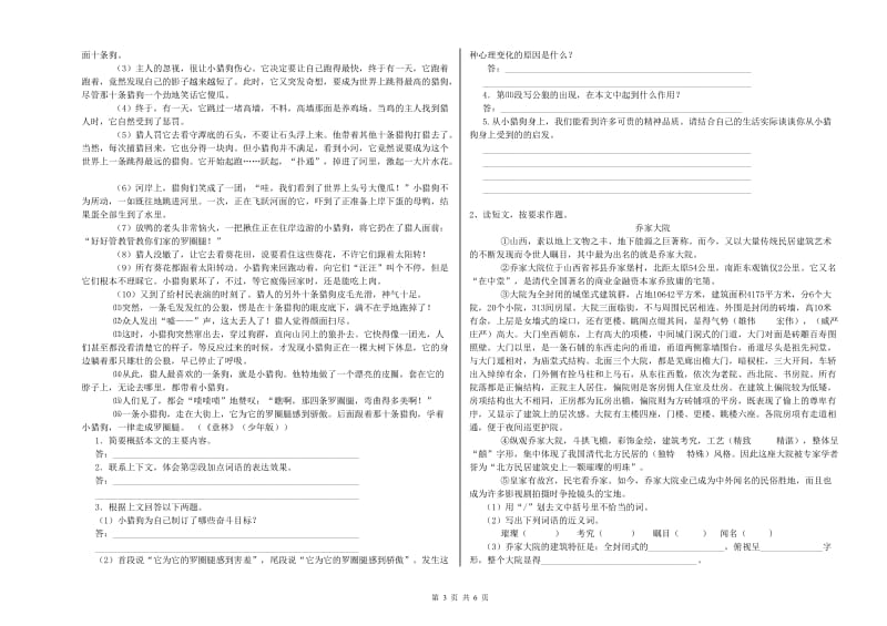 信阳市重点小学小升初语文能力提升试题 含答案.doc_第3页