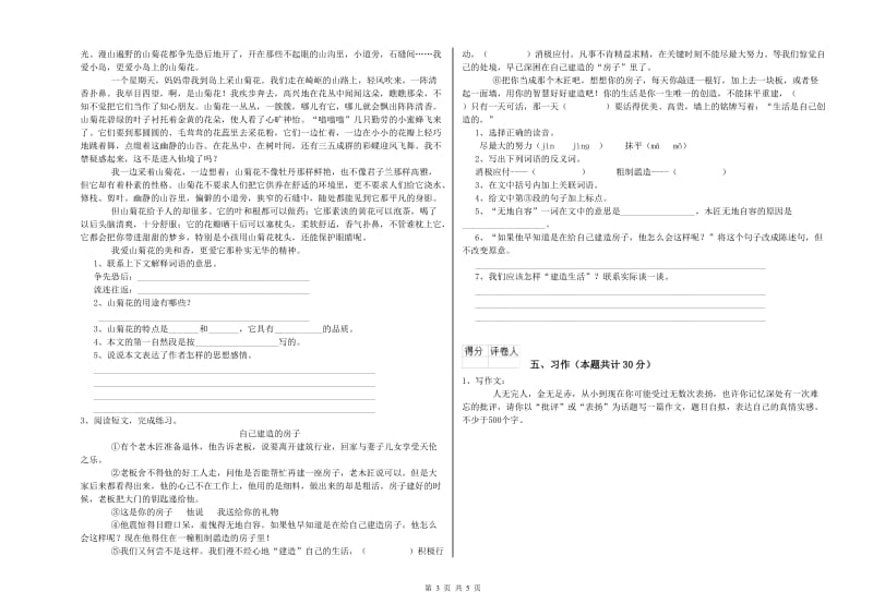 上海教育版六年级语文下学期模拟考试试题D卷 含答案.doc_第3页