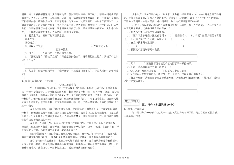 三明市实验小学六年级语文【下册】考前检测试题 含答案.doc_第3页