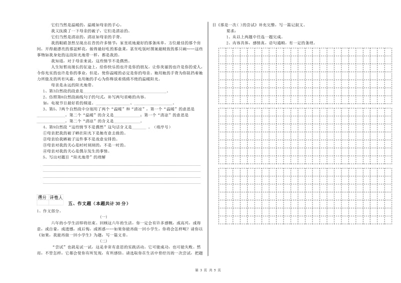 东莞市重点小学小升初语文提升训练试题 含答案.doc_第3页