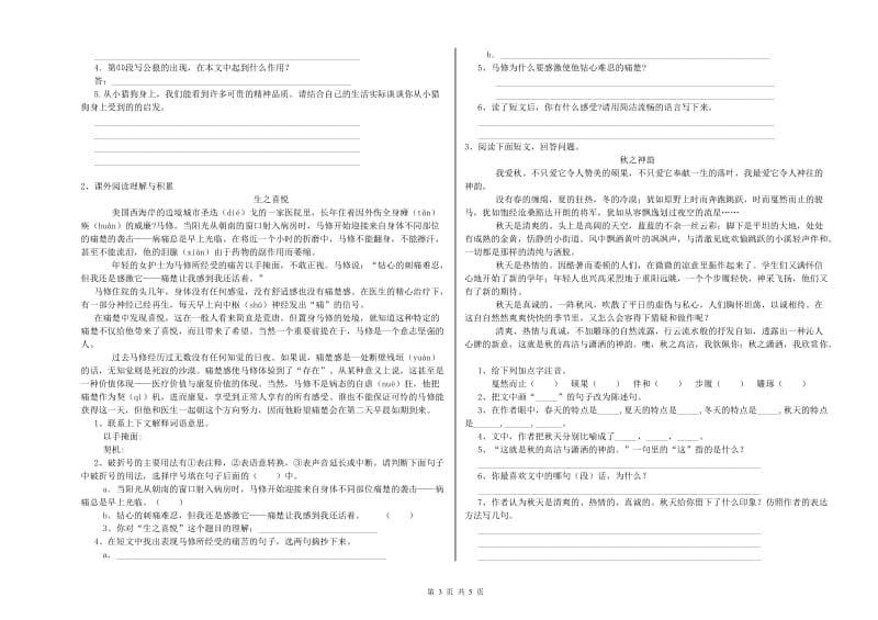 三门峡市重点小学小升初语文能力提升试卷 含答案.doc_第3页