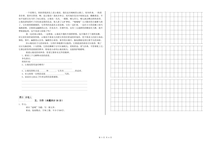 乐山市实验小学六年级语文【下册】过关检测试题 含答案.doc_第3页