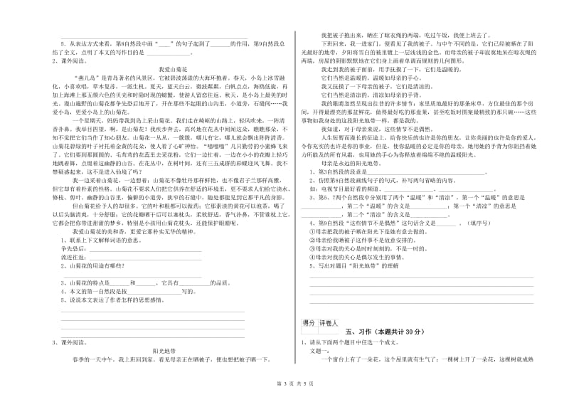 上海教育版六年级语文上学期综合检测试卷D卷 含答案.doc_第3页