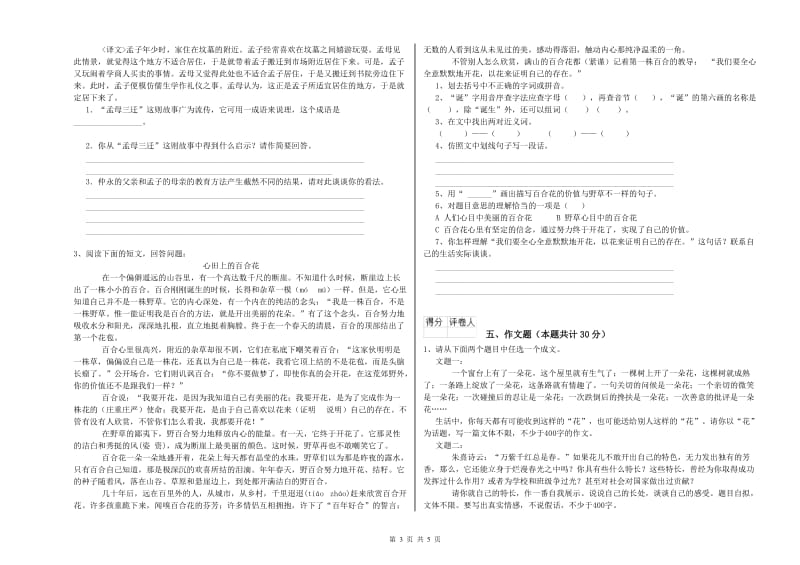 保山市重点小学小升初语文过关检测试题 附答案.doc_第3页