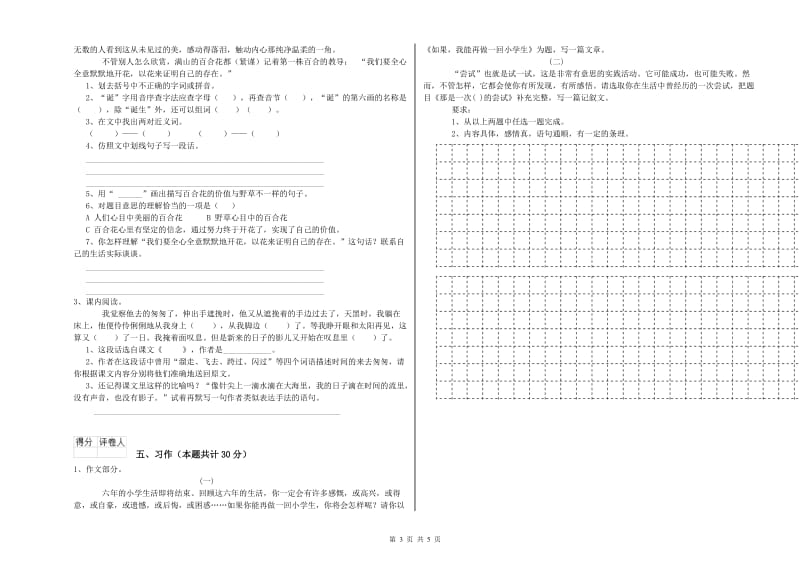 临沂市实验小学六年级语文上学期提升训练试题 含答案.doc_第3页