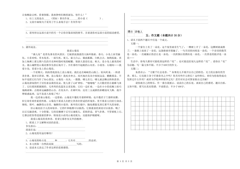 云南省小升初语文过关检测试题B卷 含答案.doc_第3页