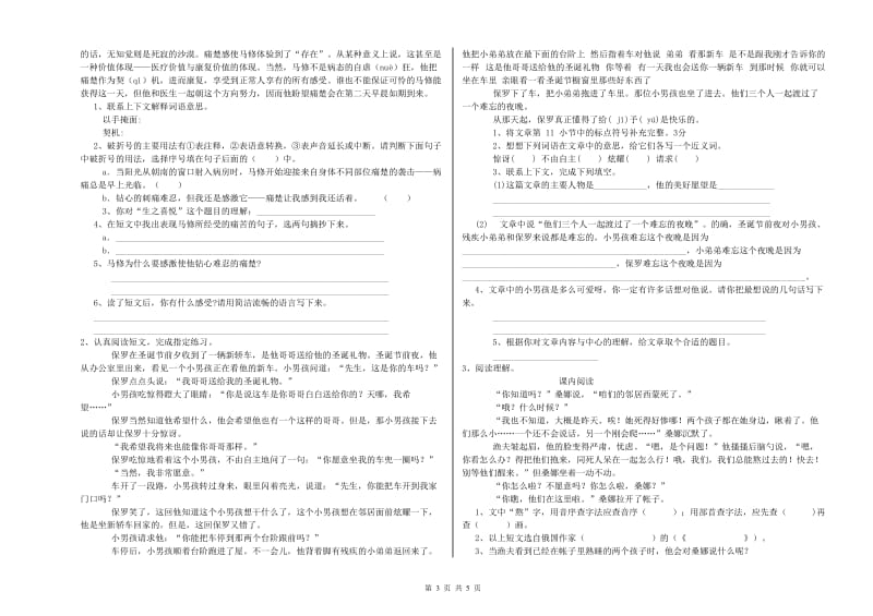 临沂市重点小学小升初语文能力检测试题 附答案.doc_第3页