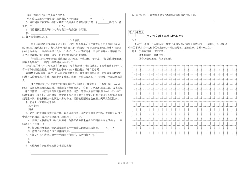 东莞市重点小学小升初语文能力测试试卷 附解析.doc_第3页