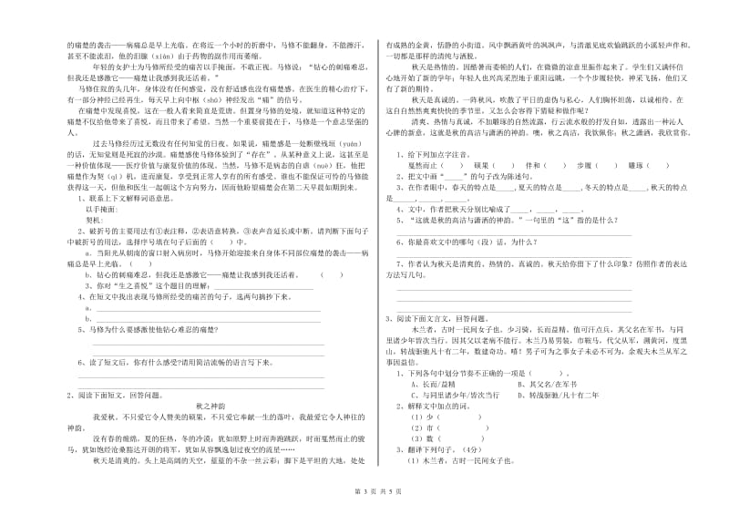 丽江市重点小学小升初语文考前练习试题 含答案.doc_第3页