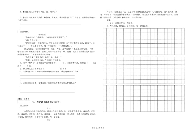 信阳市重点小学小升初语文能力提升试卷 含答案.doc_第3页