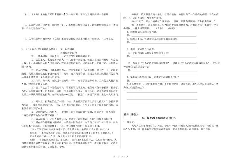 亳州市重点小学小升初语文过关检测试卷 含答案.doc_第3页