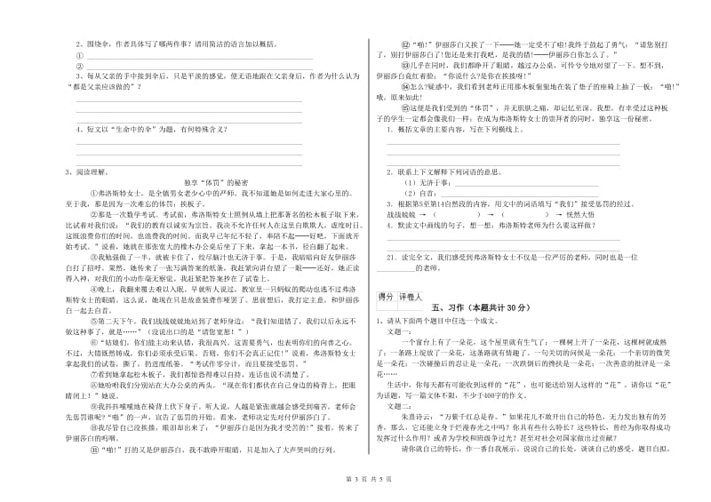 信阳市实验小学六年级语文下学期模拟考试试题 含答案.doc_第3页