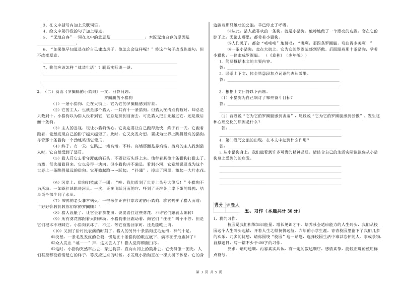 三亚市实验小学六年级语文下学期模拟考试试题 含答案.doc_第3页