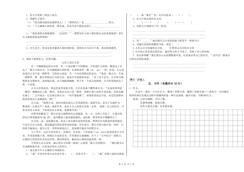 凉山彝族自治州实验小学六年级语文【下册】综合检测试题 含答案.doc_第3页