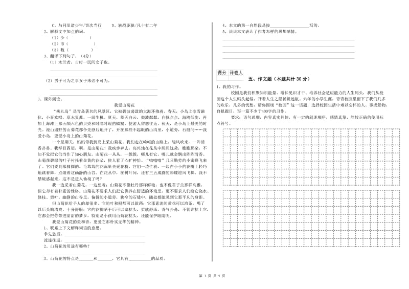 宜春市重点小学小升初语文考前练习试卷 附答案.doc_第3页