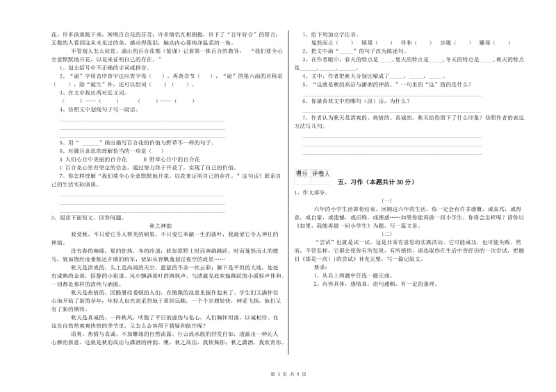 天津市实验小学六年级语文下学期综合练习试题 含答案.doc_第3页