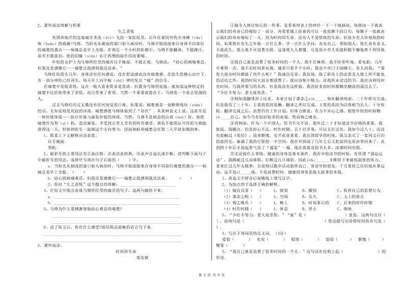 安徽省小升初语文模拟考试试题D卷 含答案.doc_第3页