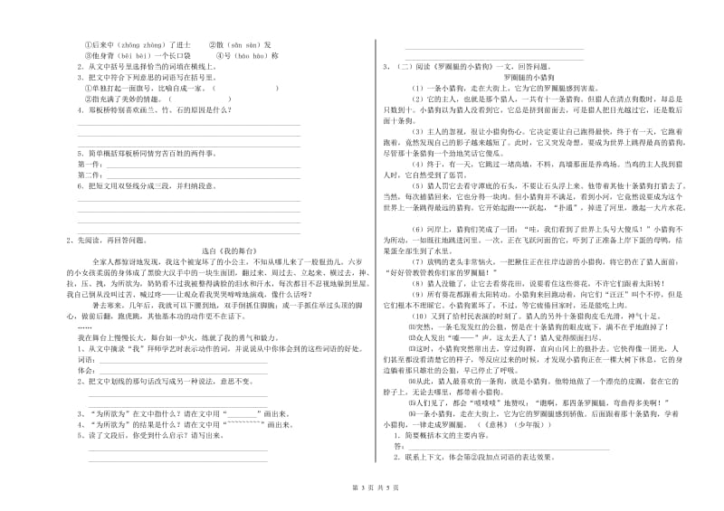 天水市重点小学小升初语文能力检测试卷 附解析.doc_第3页