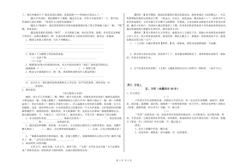 六年级语文下学期全真模拟考试试卷 含答案.doc_第3页