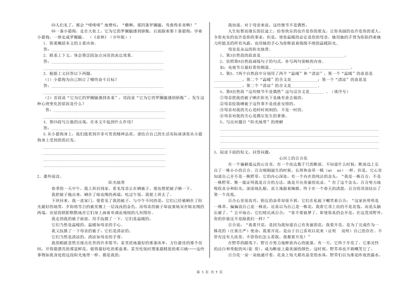 哈尔滨市实验小学六年级语文上学期开学考试试题 含答案.doc_第3页