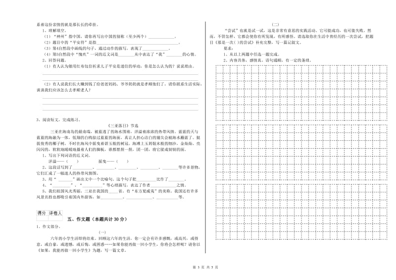 塔城地区重点小学小升初语文能力提升试卷 附答案.doc_第3页