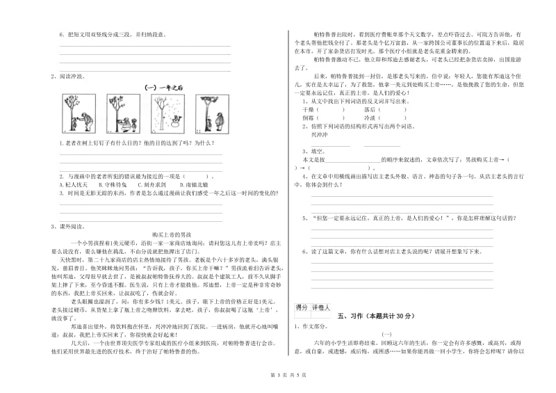 吕梁市实验小学六年级语文【下册】开学检测试题 含答案.doc_第3页