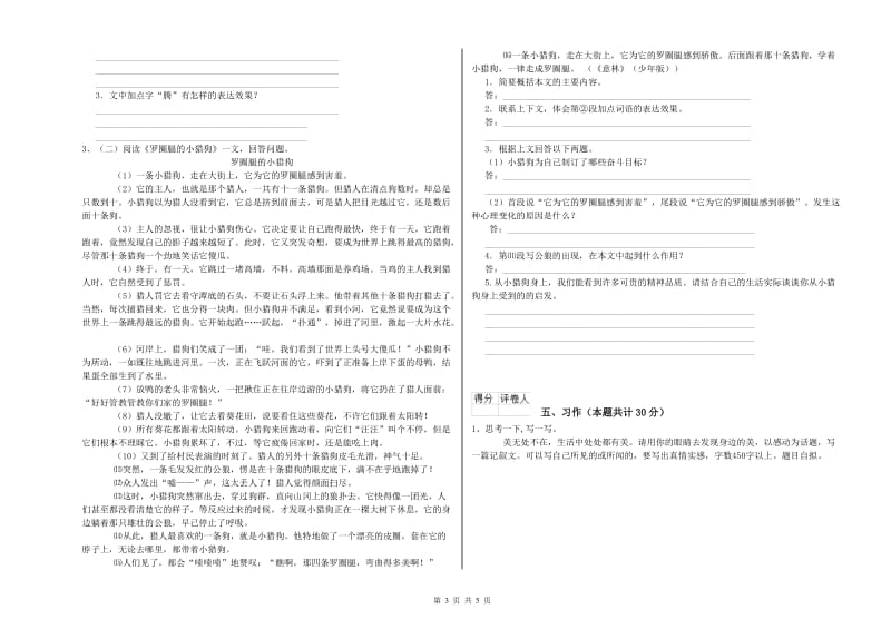 吉林市实验小学六年级语文上学期月考试题 含答案.doc_第3页