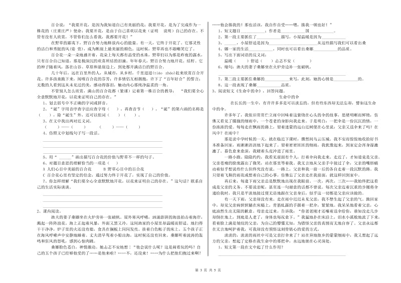 安庆市重点小学小升初语文模拟考试试题 附解析.doc_第3页