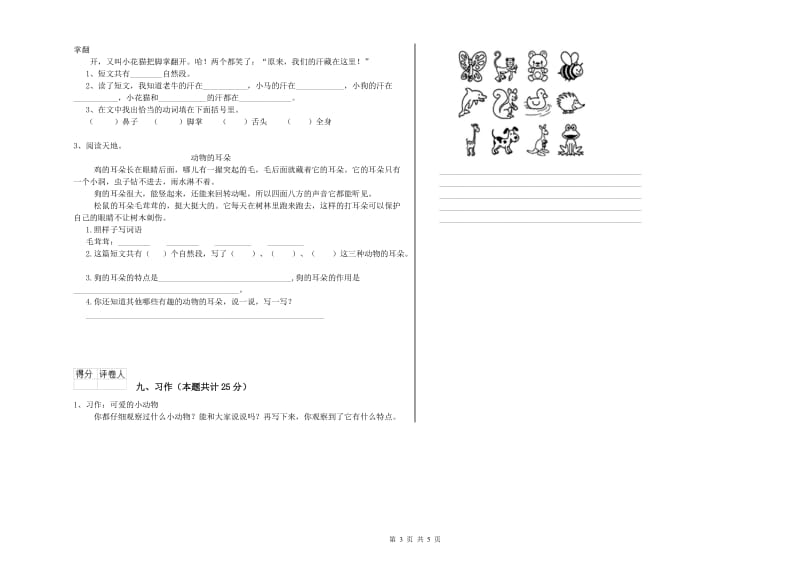 四川省2019年二年级语文【上册】全真模拟考试试卷 附解析.doc_第3页