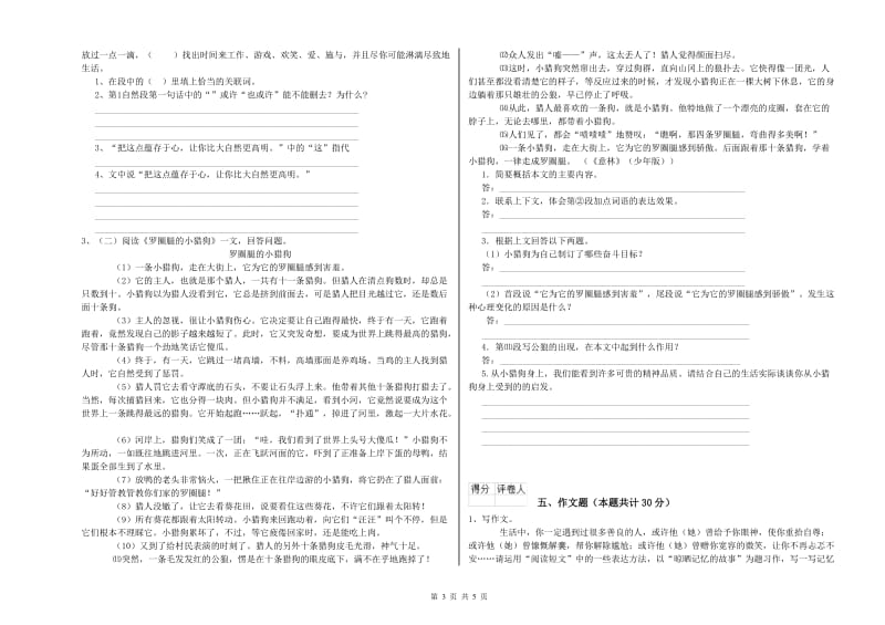 内蒙古小升初语文提升训练试题C卷 附答案.doc_第3页