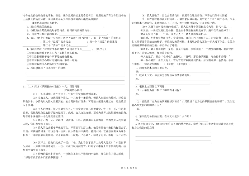 吉安市实验小学六年级语文上学期能力提升试题 含答案.doc_第3页