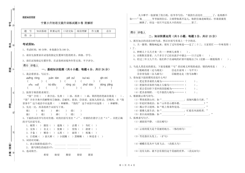 宁夏小升初语文提升训练试题B卷 附解析.doc_第1页