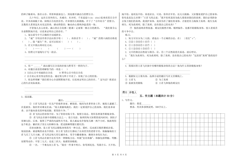 吉林省重点小学小升初语文综合检测试题A卷 附解析.doc_第3页