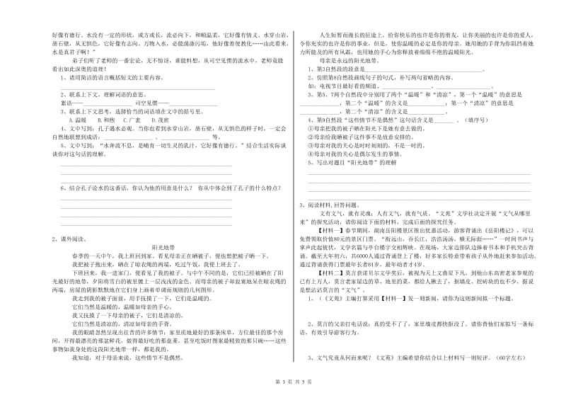 内蒙古小升初语文提升训练试题D卷 附答案.doc_第3页