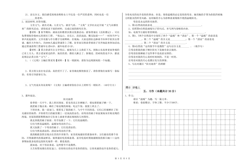 南平市实验小学六年级语文【下册】能力检测试题 含答案.doc_第3页